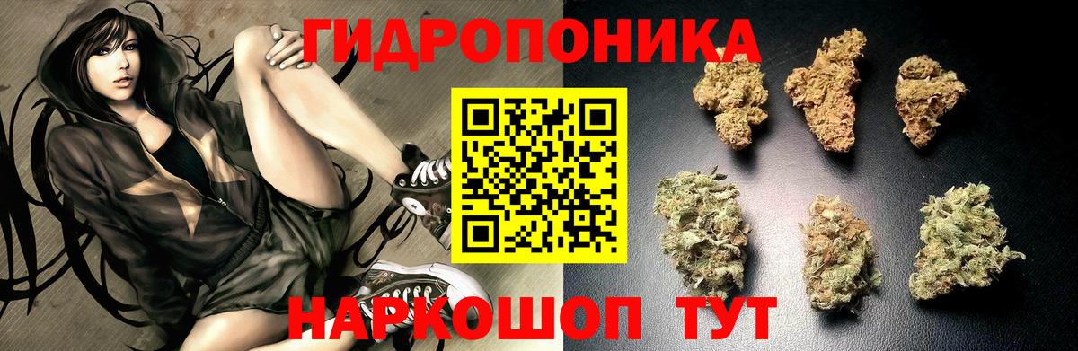 Марихуана White Widow  Конопля конопля  Сафоново  Вход с VPN  Бошки Шишки план 